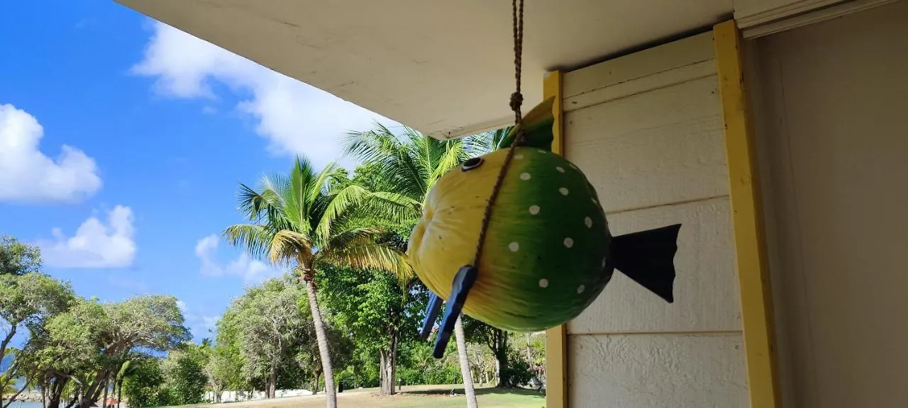Studio Vue Mer Guadeloupe Sainte-Anne  Guadeloupe